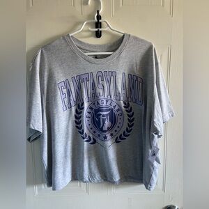 Disney Parks ‘Fantasyland’ Cropped Tee NWT